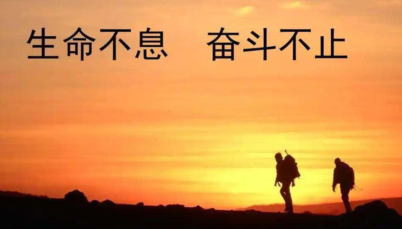 招募站长好项目网-专注分享网络创业项目落地实操课程 – 全网首发_高质量创业项目输出好项目网