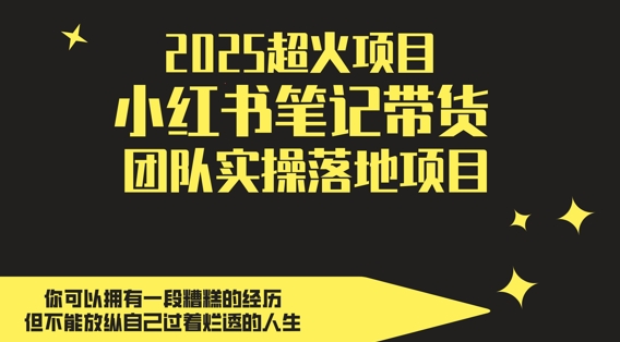2025超火项目，副业最佳选择，小红书笔记带货团队实操落地项目，，轻松日入5张好项目网-专注分享网络创业项目落地实操课程 – 全网首发_高质量创业项目输出好项目网