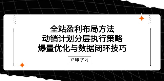全站盈利布局方法：动销计划分层执行策略，爆量优化与数据闭环技巧好项目网-专注分享网络创业项目落地实操课程 – 全网首发_高质量创业项目输出好项目网